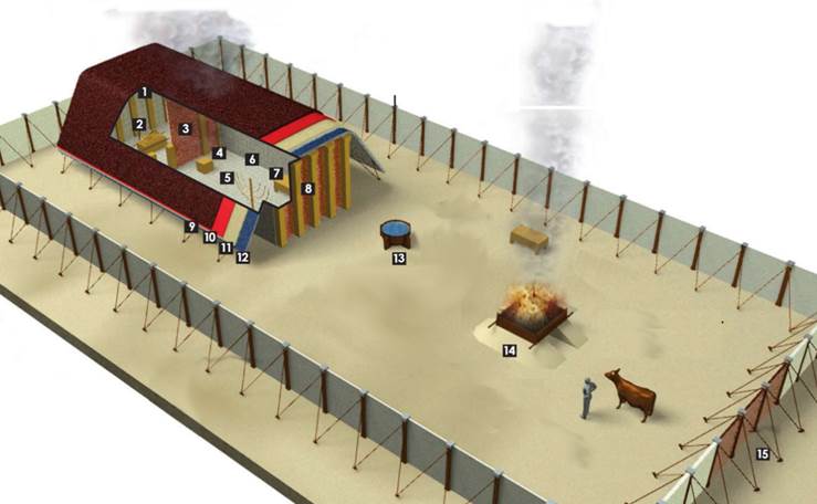 A diagram of a barn
AI-generated content may be incorrect.