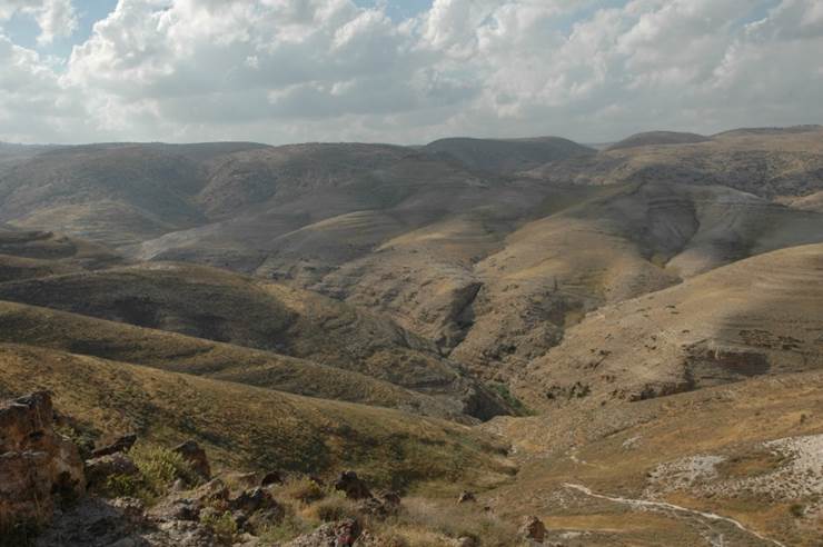 A landscape of a valley
AI-generated content may be incorrect.